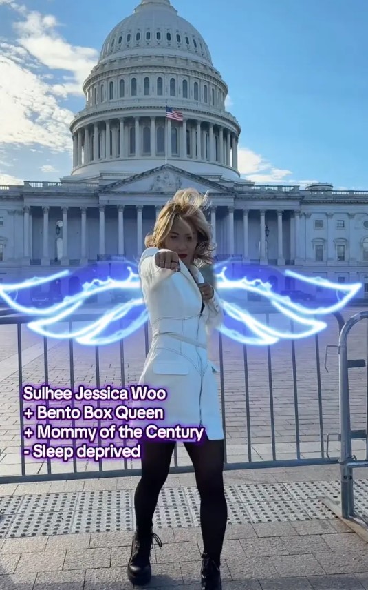 Choose Your Fighter Democrat Video and Sparking Mockery