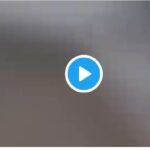 JAY ALVARREZ VIDEO COCONUT